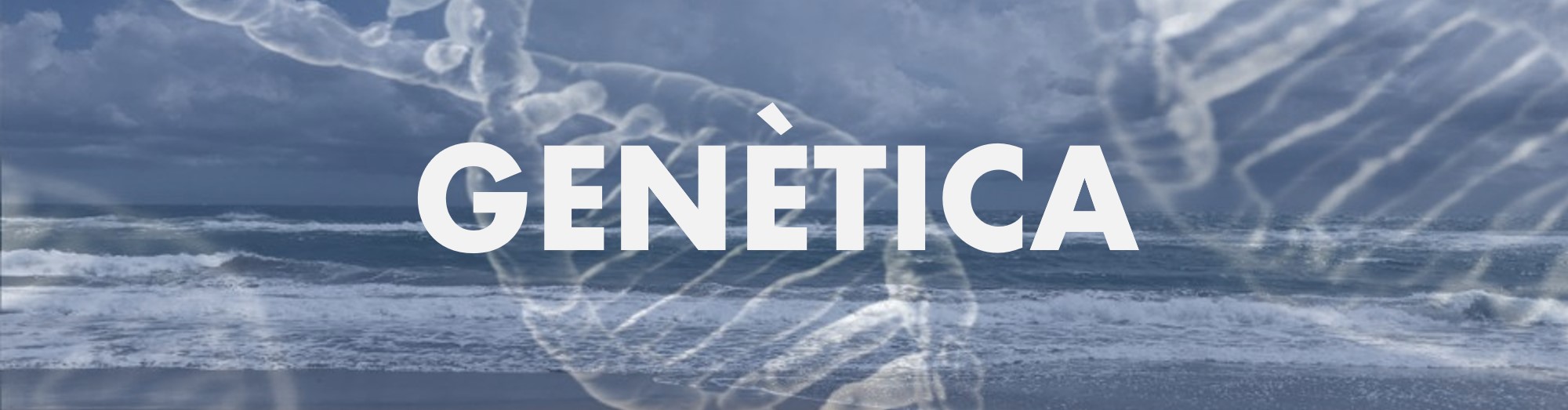 GenetiCat.jpg